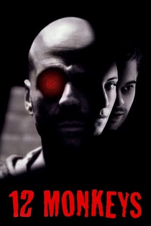 Twelve Monkeys (1995) Hindi Dual Audio Movie 720p BluRay - 880MB - Movierulz